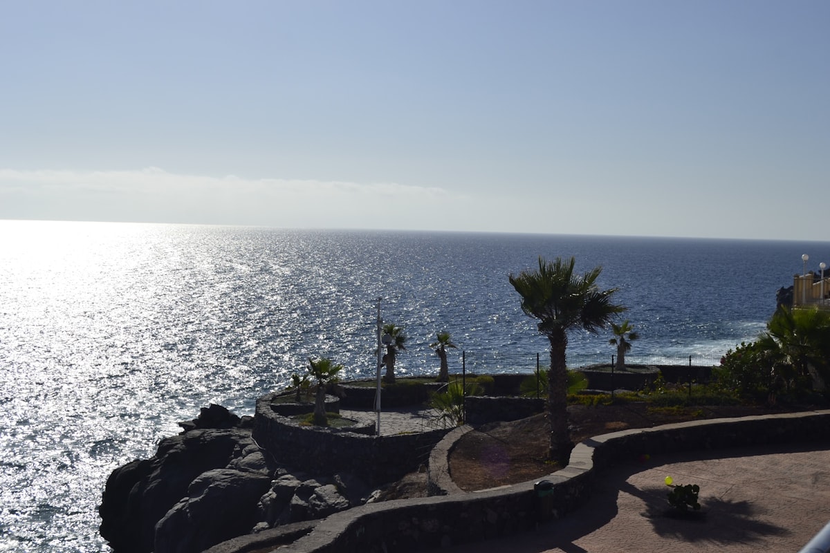 Árboles y palmeras cerca del mar en Tenerife - alquiler vacacional