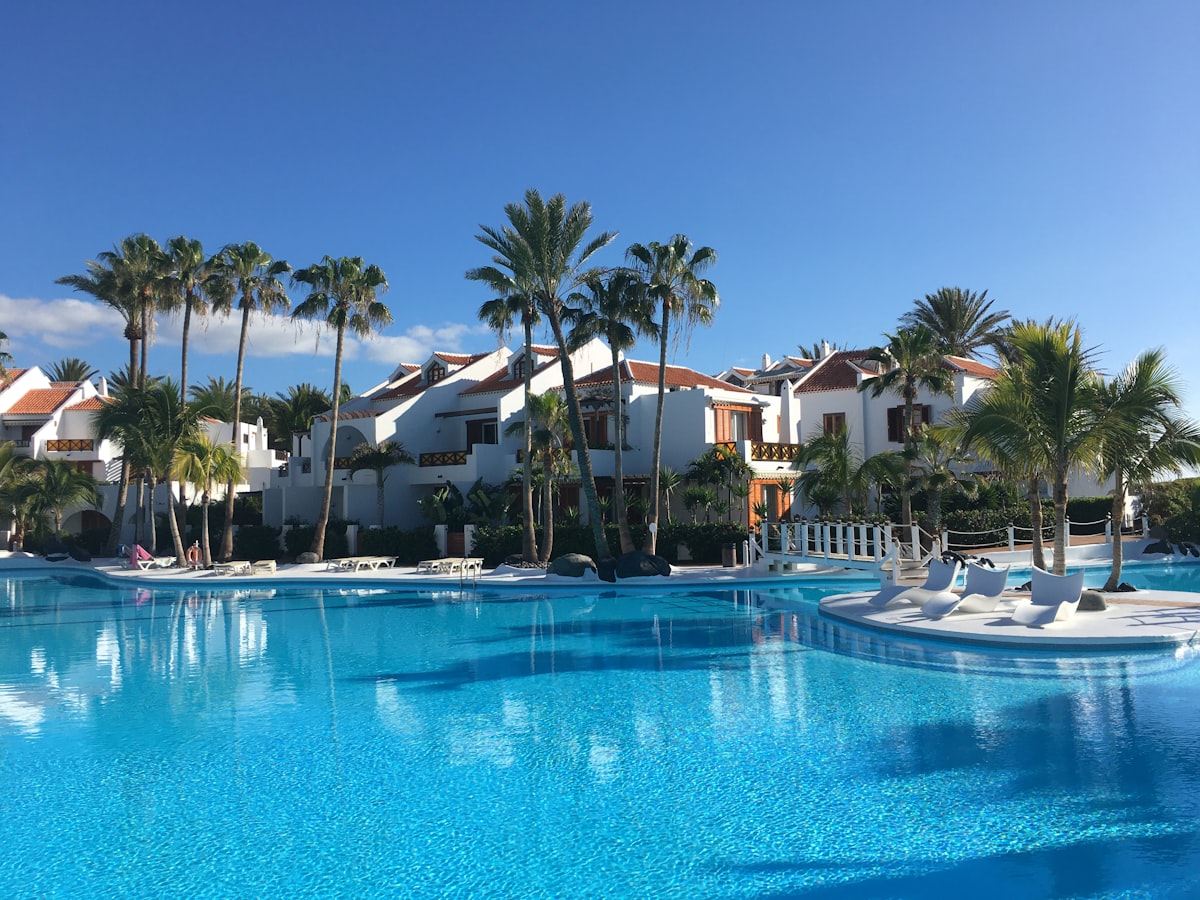 Piscina rodeada de palmeras en una villa vacacional en Tenerife